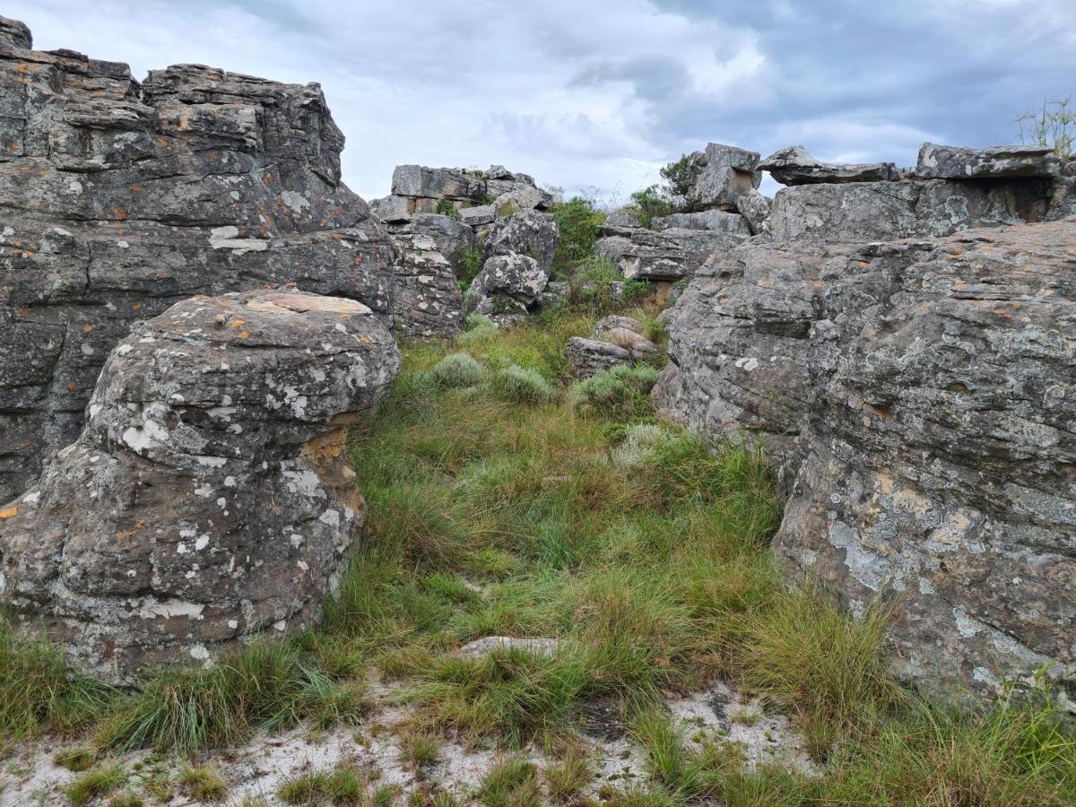 Coddiwomple Cottage Kaapsehoop Екстериор снимка